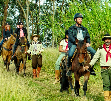 Passeio Cavalo 01 otmz.jpg