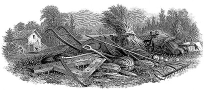 vignette100solestacna.jpg