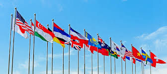 International Tax - Consultant