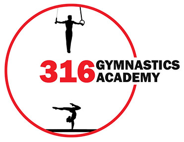 316Logo_edited_edited_edited.jpg