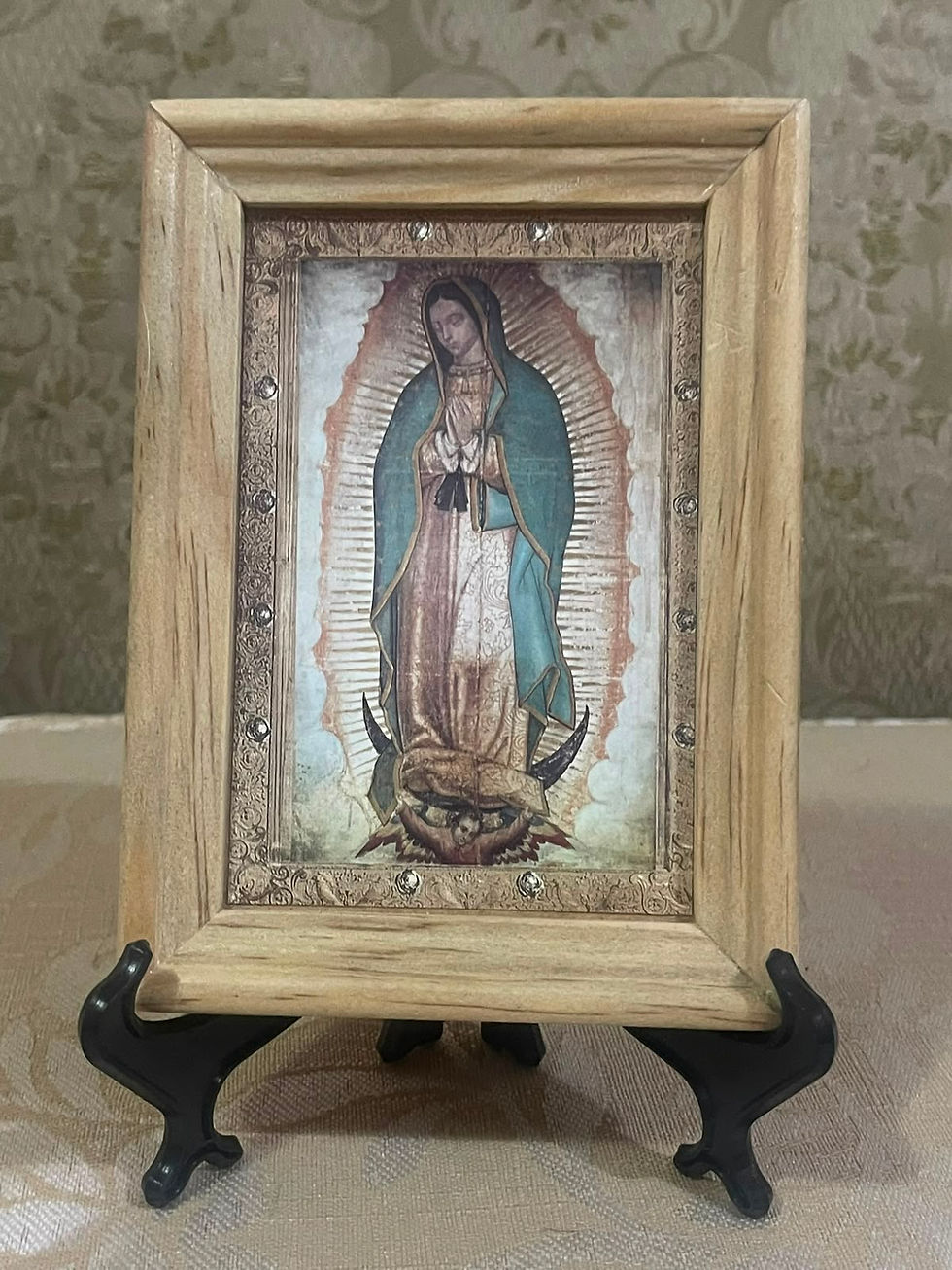 Camino a los 500 años: una misión que nos convoca