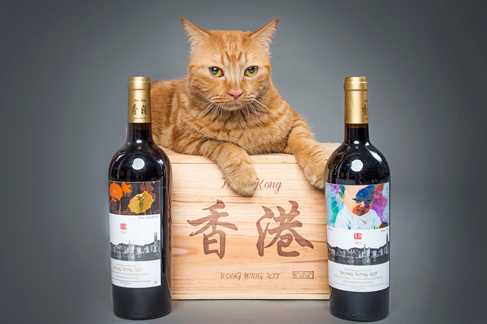 Easy Wine 醉貓 Hong Kong Online Wine Shop 紅酒優惠