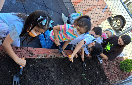 2022 City Green - Spring Planting