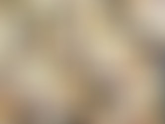 Fabric off the bolt at my cost... now available online.