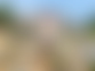 Le port autonome de Kribi; Pole de croissance pour le Cameroun