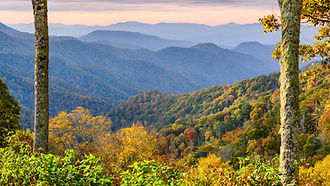 Great Smoky Mountains National Park June 2023