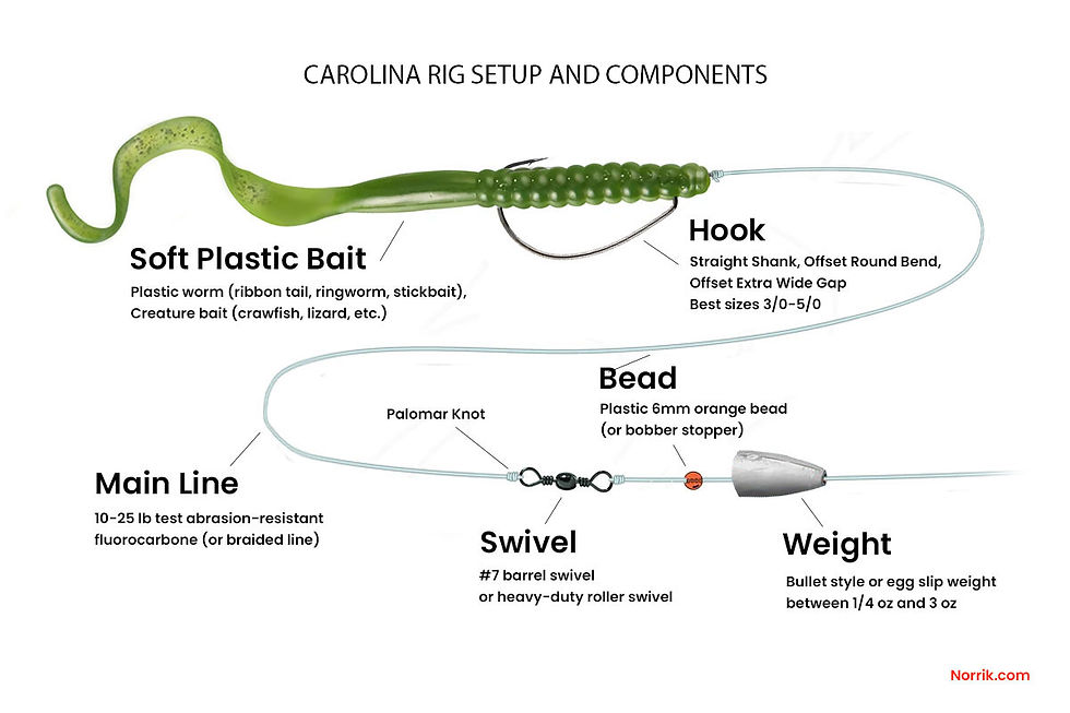 Carolina Rig Set Up
