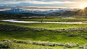 Yellowstone National Park August 2023