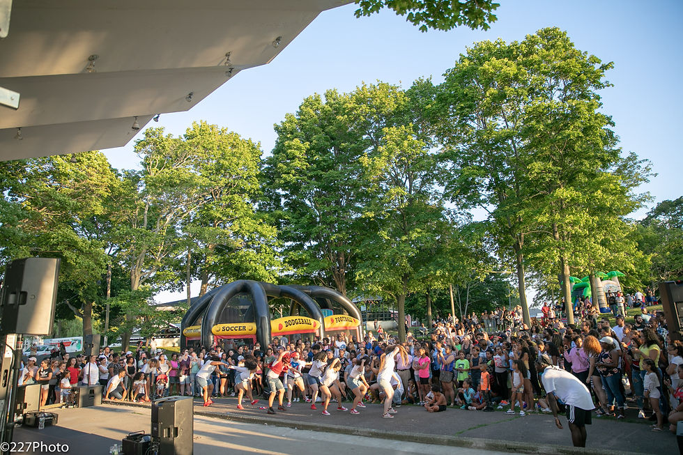 Large crowd at an outdoor performance