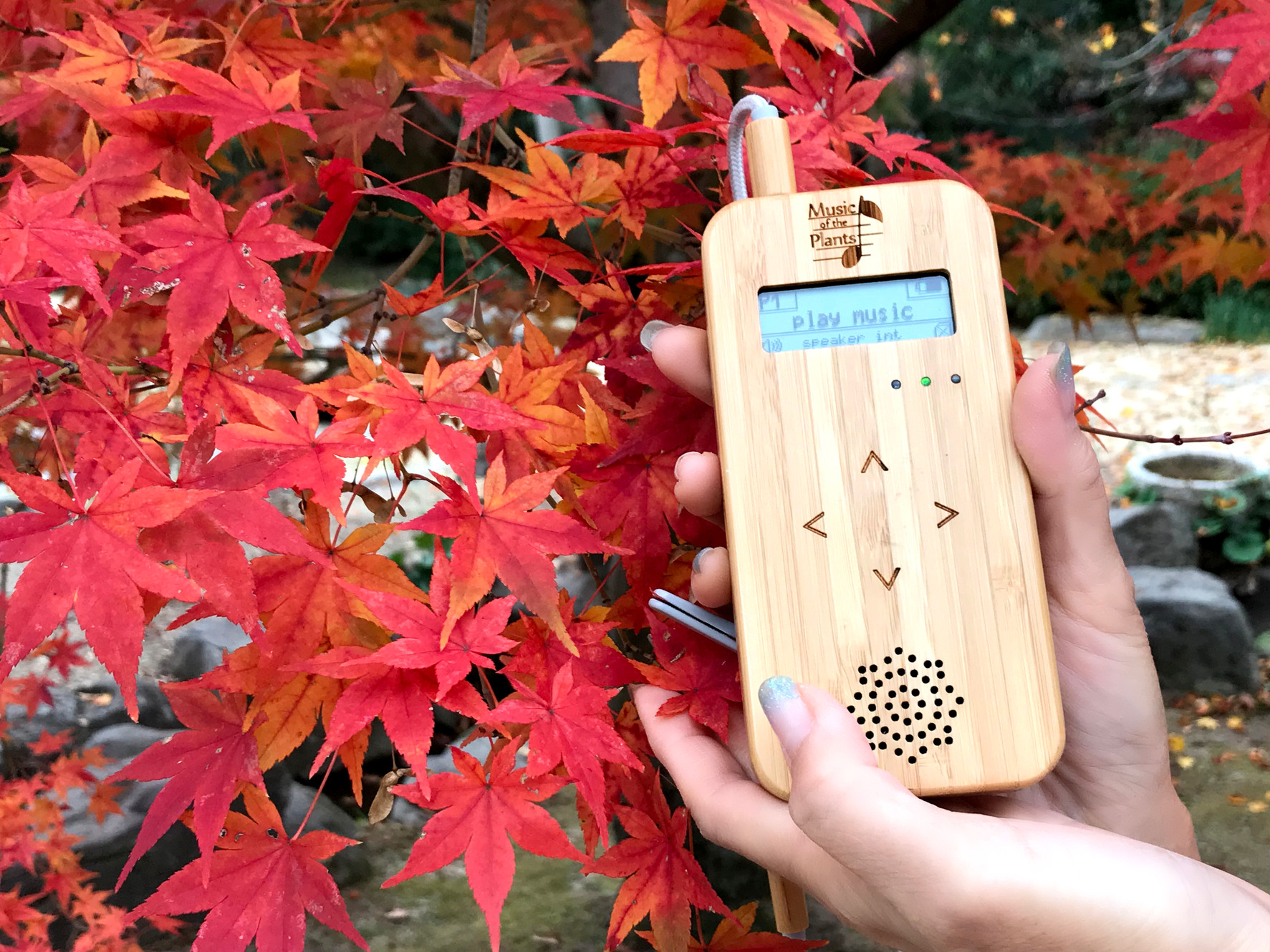 業界No.1 植物生体電位をメロディに変換バンブー M sushitai.com.mx