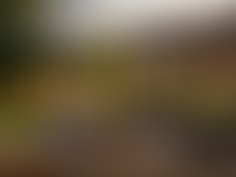 Gazebo Installation Services and Fence Installers in Barrie for Privacy, Shade, and Outdoor Comfort