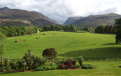 PILGRIMAGE TO IRELAND