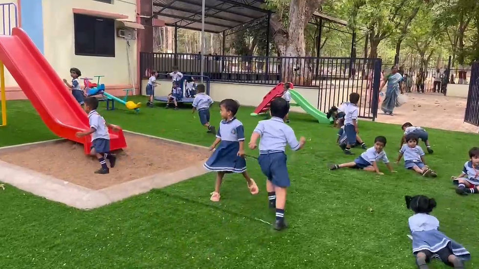 Play Area