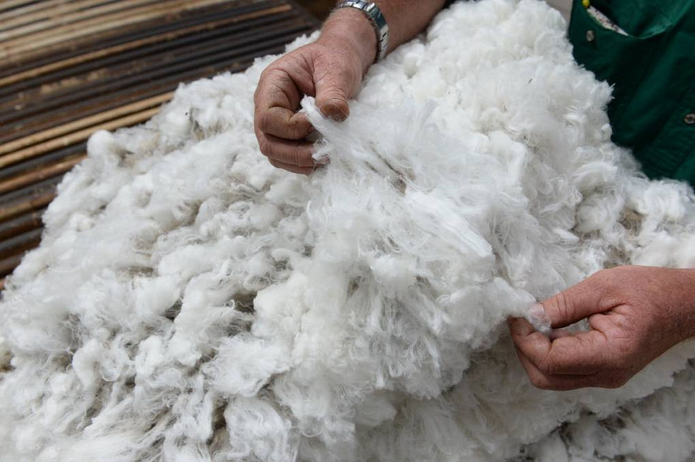 Why Wool?
