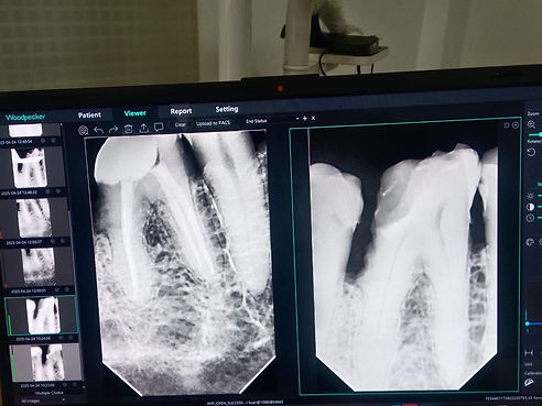 WhatsApp Image 2025-04-25 at 3.09.41 PM.jpeg