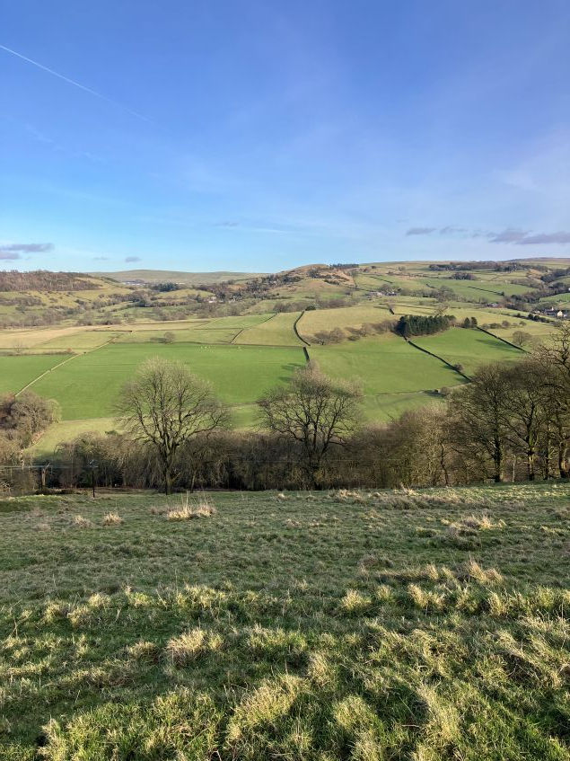 Views from Kerridge Ridge