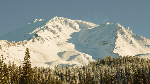 Untitled design - 2024-10-17T201731.817.png