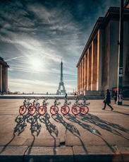 Bikes on track