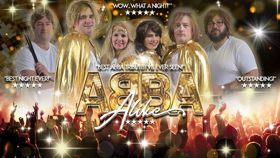 ABBA Alike Live Band 