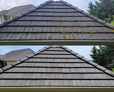 TILE ROOF.jpg