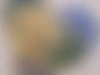 Thames & Kosmos - "Exit The Game: Adventures on Catan"