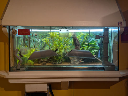 Adventurebox Karlsruhe - "Time Unit 49°N"