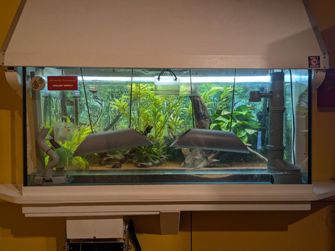 Adventurebox Karlsruhe - "Time Unit 49°N"