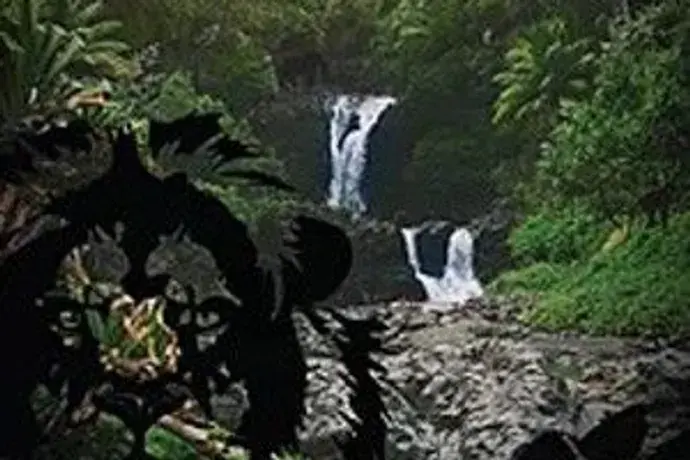 Puzzle Theory - "The Jungle Dimension"