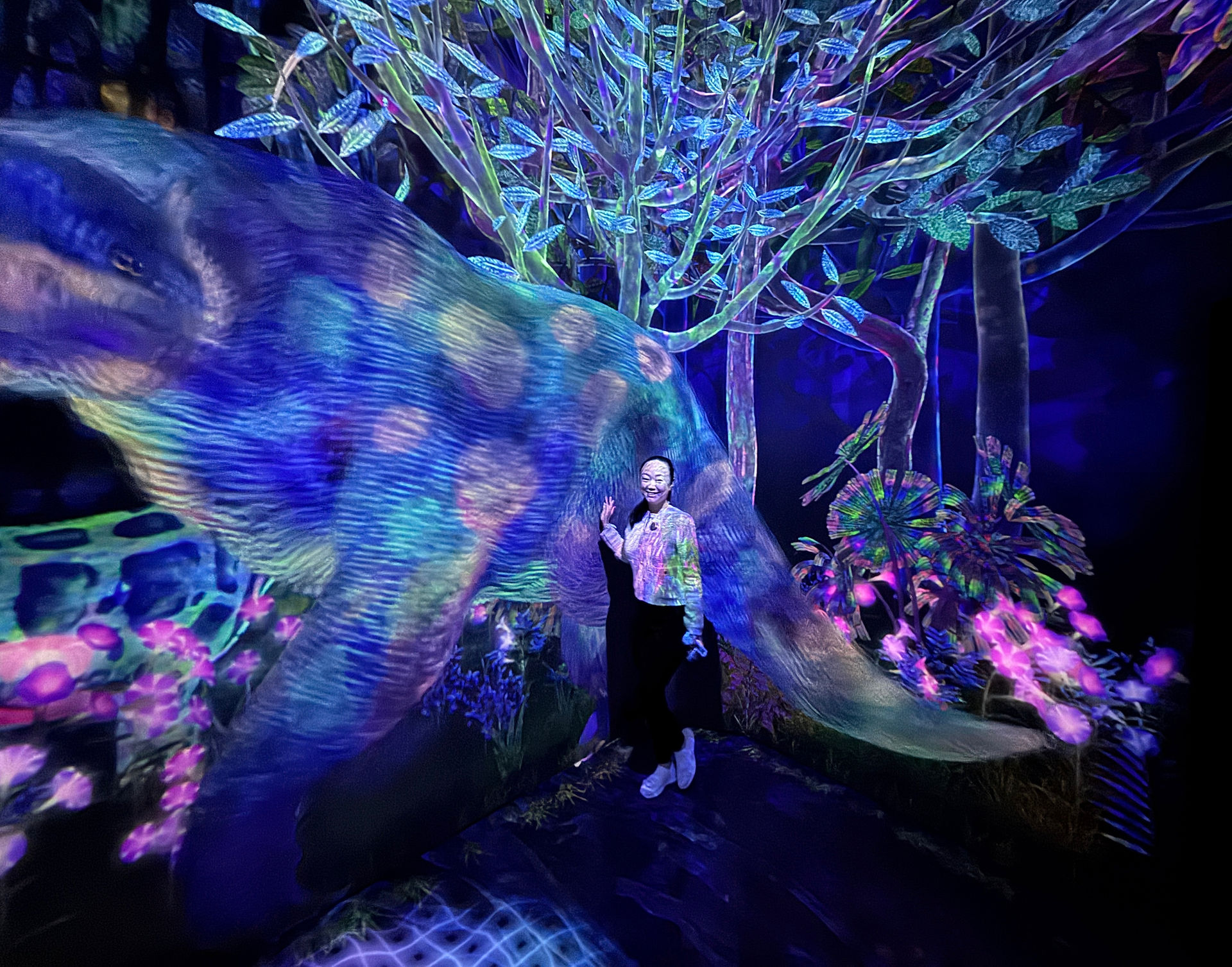 teamLab Planets