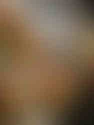 Hermès - "Mystery at the Grooms'"