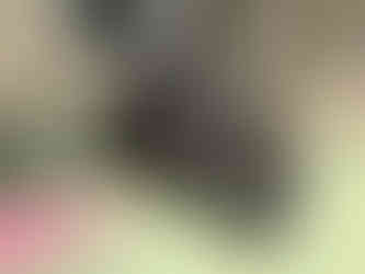 Perfect Escape Oslo - "Sinking Blücher"