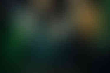 ROOM Escape Room - "The Archaeologist"