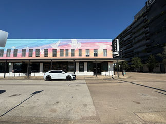 PanIQ Room Houston