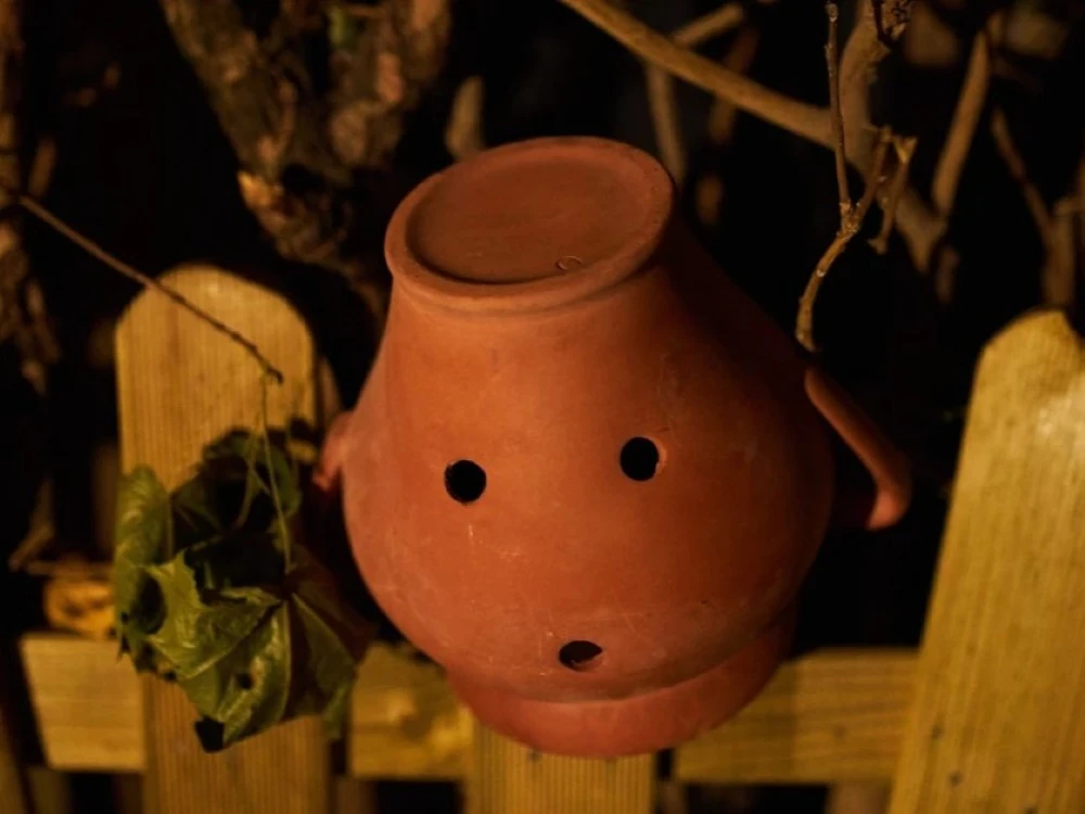 Fun4Brain - "Grandpa's Secret"