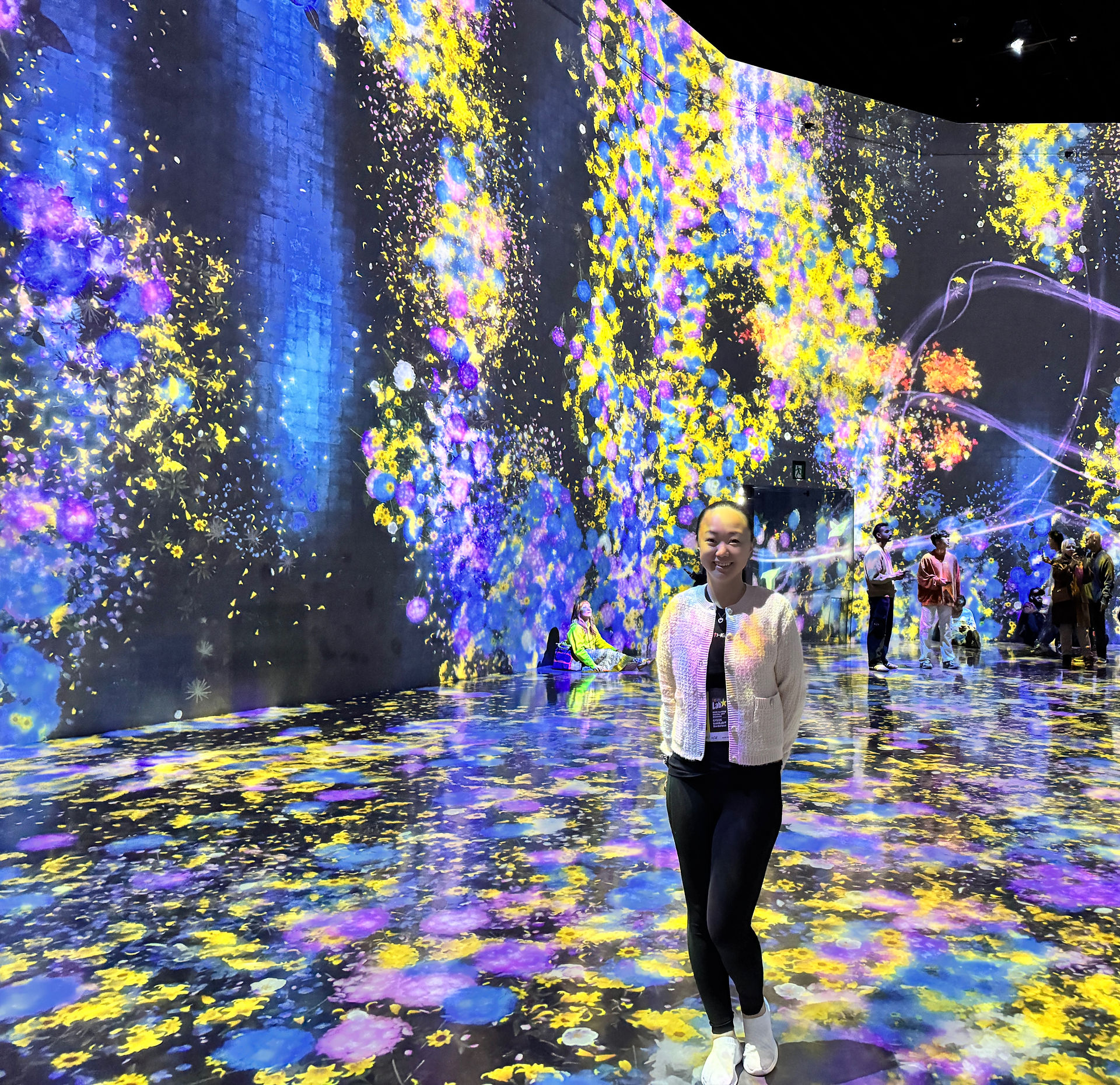 teamLab Borderless