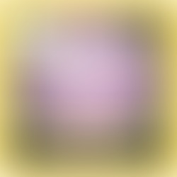 Mysterious Package Company: The Curious Correspondence Club - "Chapter III: The Tinker's Trinket"