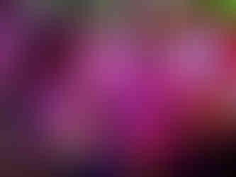 Number One Escape Room - "The Voodoo Lounge"