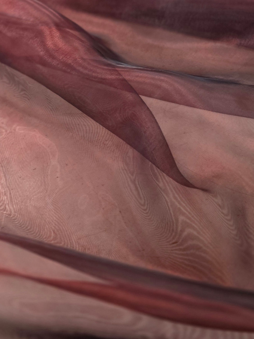 Organza Burgandy/Black Polyester