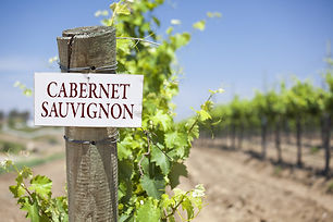 cabernet sauvignon.jpeg