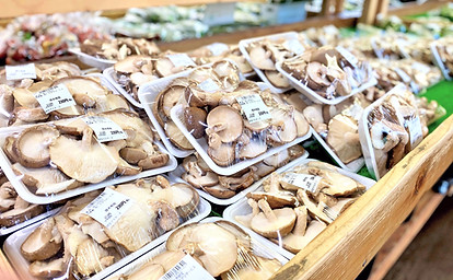 岐阜県郡上市の人気の朝市・新鮮市めいほう!人気の明宝産原木椎茸