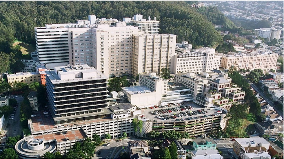 Universities in the Bay Area