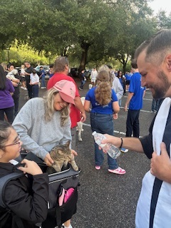 Blessing of the animals