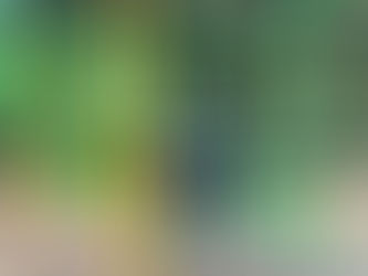 Enroll with Confidence: Registration Open for the 2024-2025 School Year at Blessed Trinity Catholic School