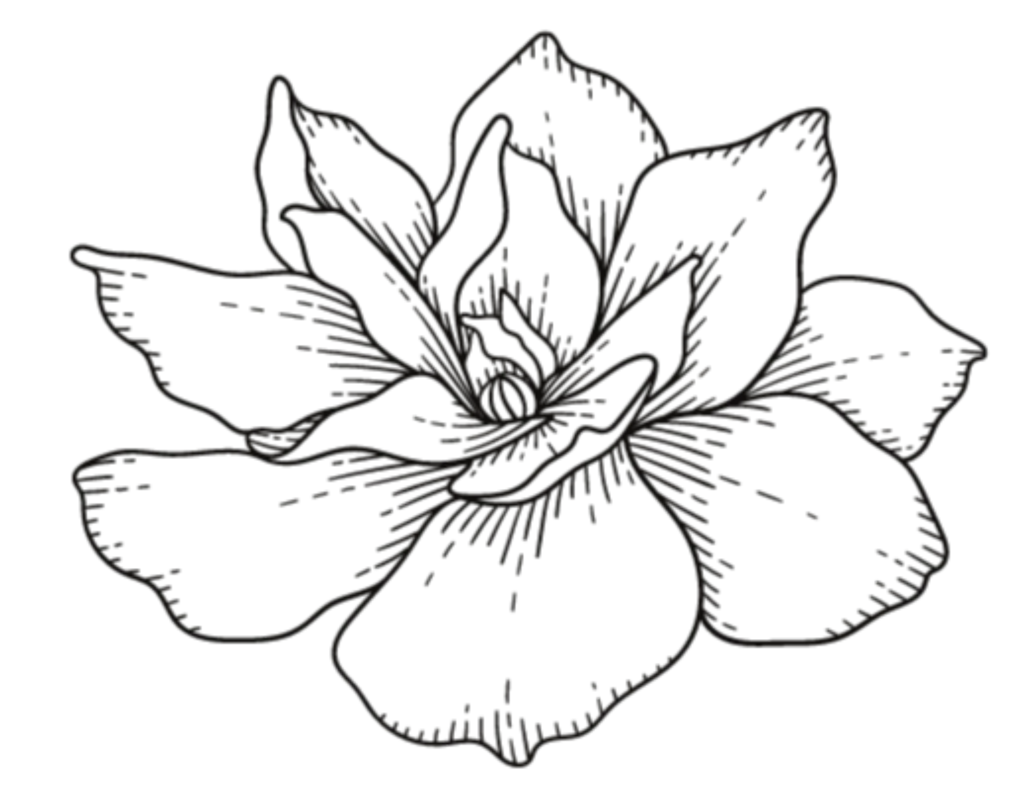 Writer: Digital Team