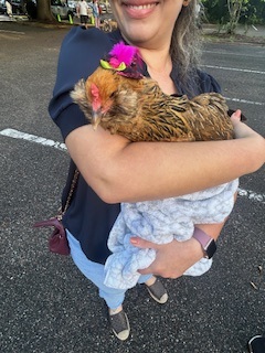 Blessing of the animals
