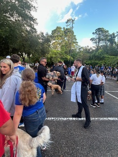 Blessing of the animals