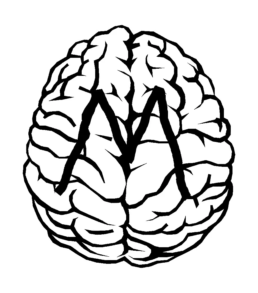 Massage Brain