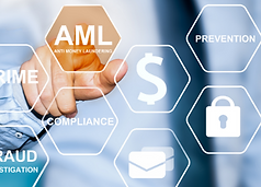 AML Audit.png