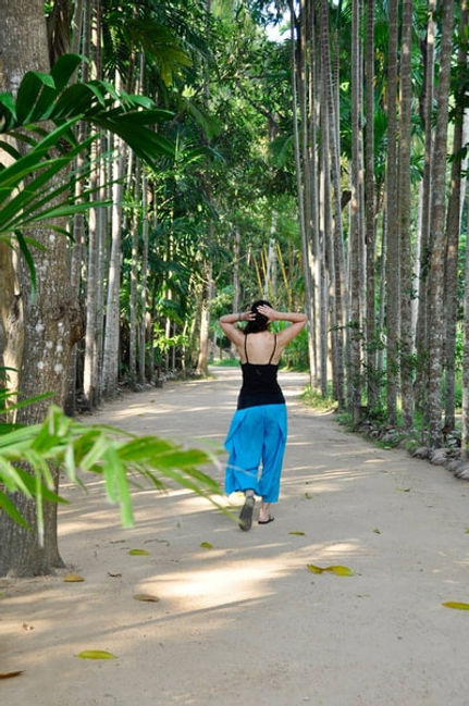 bamboo-1.jpg
