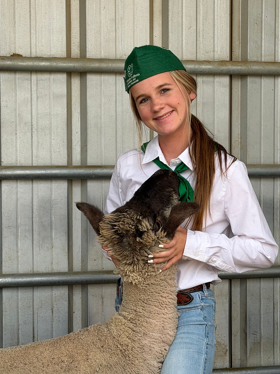 Thumbnail: Bentleigh Rogers Add-On Contribution